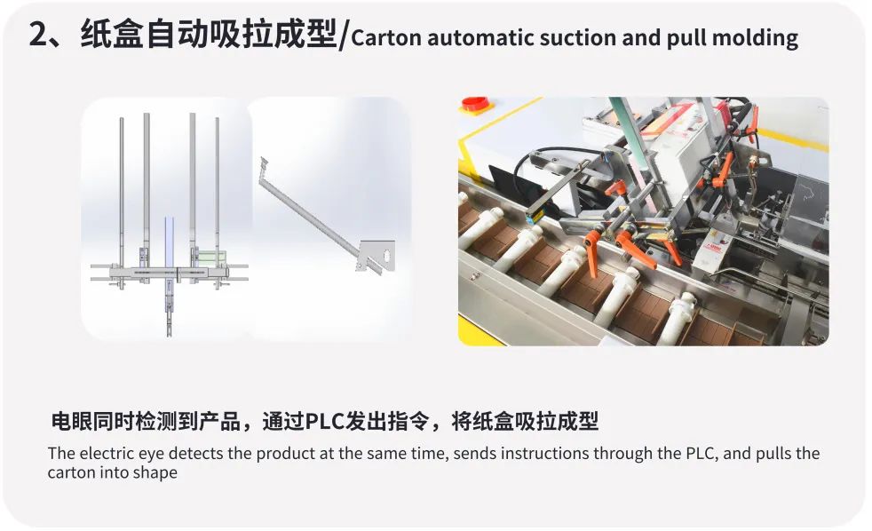 Automated Packaging Solutions for the Food Industry | Smart Box Packing Machine