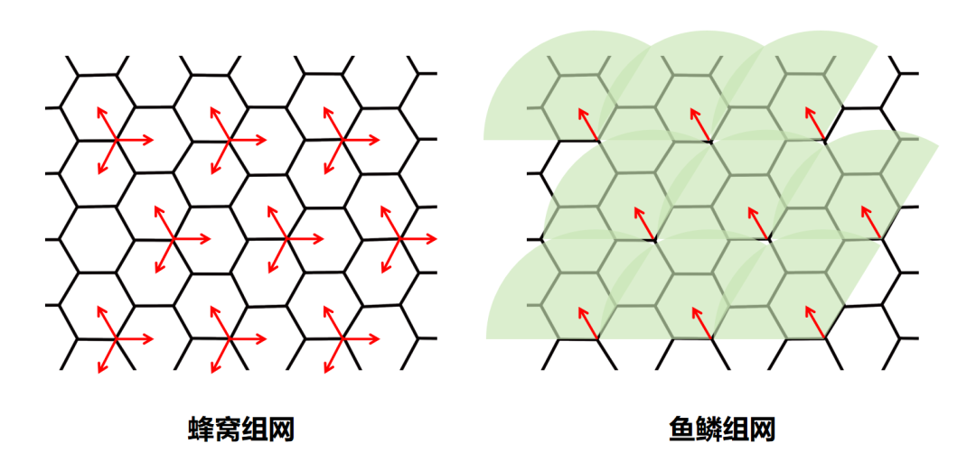What Is Fish Scale Networking?