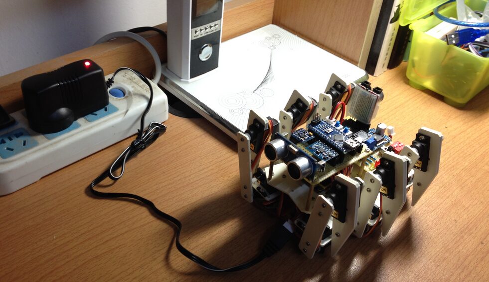 DIY Hexapod Bionic Robot
