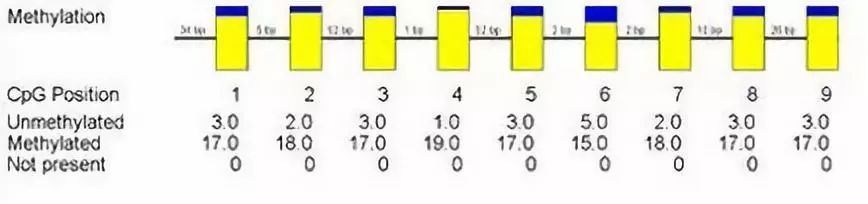 Bisulfite Sequencing PCR (BSP) Method