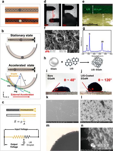 Integrated Multifunctional Wearable Platform with Graphene and Liquid Metal