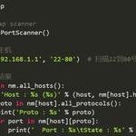 Why Python Is the Favorite Programming Language for Cybersecurity Professionals