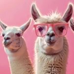 Building a Rust CLI to Chat with Llama 3.2