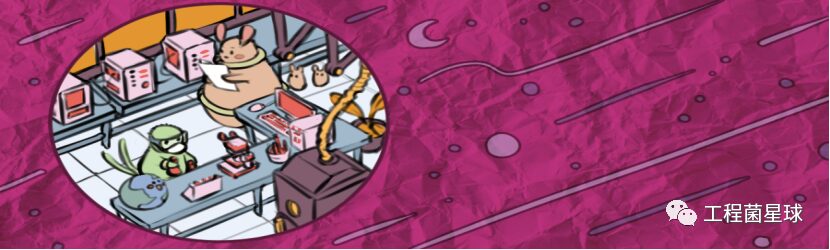 Understanding The Mechanism of Immune Response Triggered by Different Lipid Components in Lipid Nanoparticles (LNP)