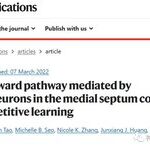 Scientists Reveal Reward Learning Pathway Mediated by Somatostatin Neurons