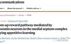 Scientists Reveal Reward Learning Pathway Mediated by Somatostatin Neurons