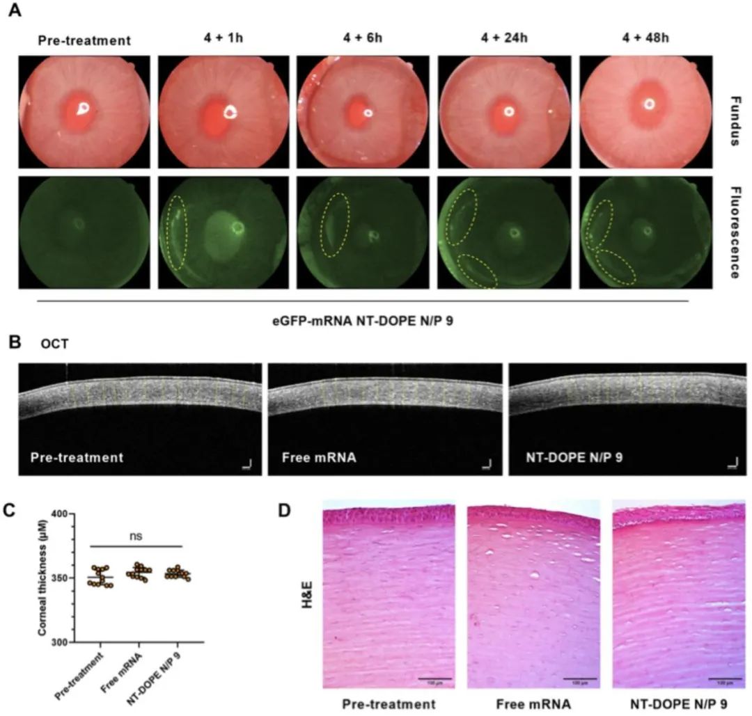 Repurposing Cationic Amphiphilic Drugs for mRNA Delivery