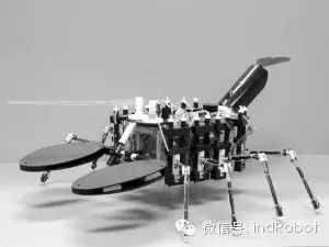 Exploring Beautiful and Adorable Bionic Robots