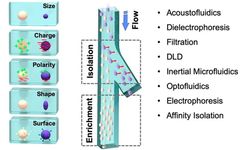 Microfluidic Isolation and Enrichment of Nanoparticles