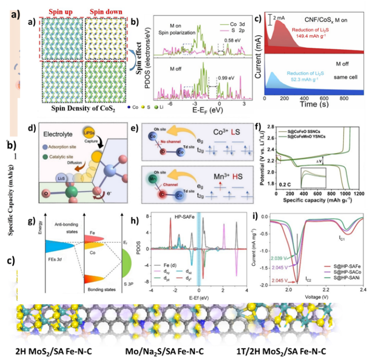 Exploring Electron Spin Polarization for Next-Gen Rechargeable Battery Innovation