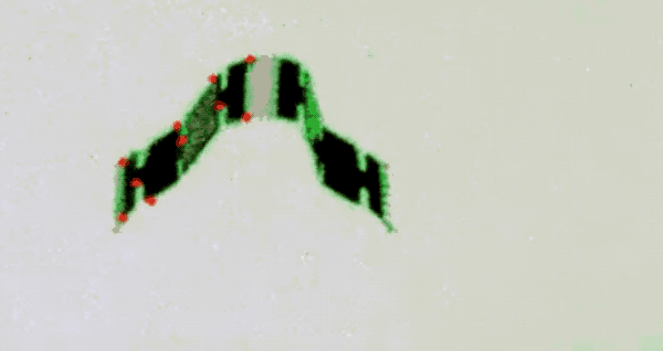 Micro Robots: The Cutting-Edge Technology
