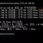 Essential Knowledge: 7 Basic Uses of Ping Command