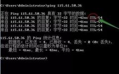 Essential Knowledge: 7 Basic Uses of Ping Command