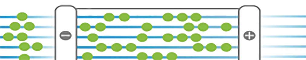 Cutting-Edge Sequencing Technologies: A Detailed Introduction to Single-Molecule Optical Mapping