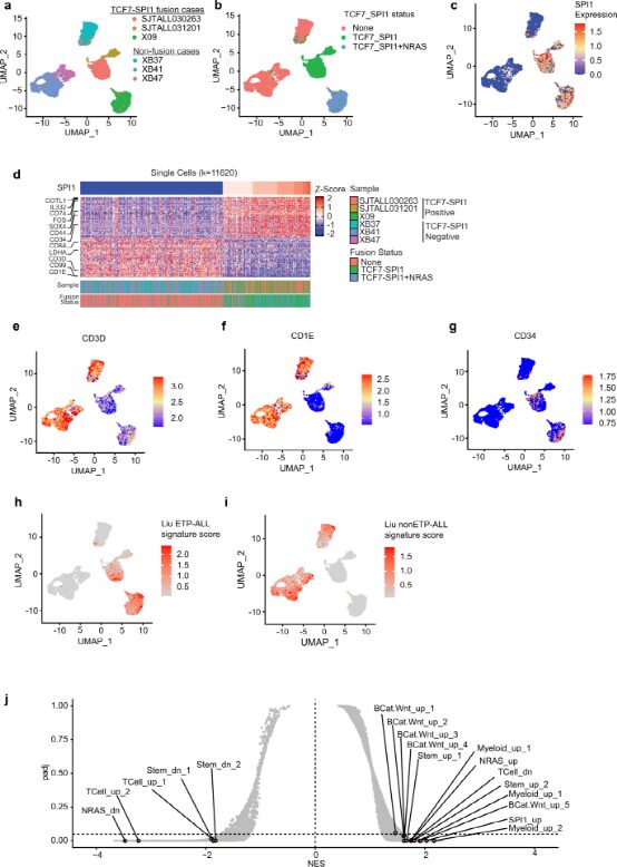 The Oncogenic Cooperation of TCF7-SPI1 and NRAS in T-ALL