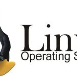 Configure Application or Script to Start on Boot in Linux