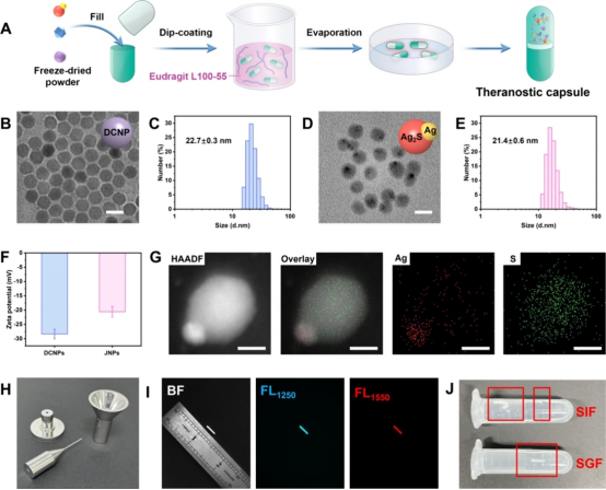 NIR-II Ratiometric Optical Theranostic Capsule for Intestinal Inflammation