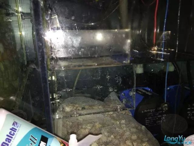 DIY Fully Automatic Water Change System
