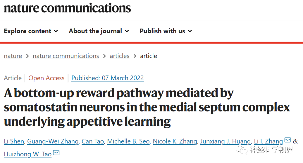 Scientists Reveal Reward Learning Pathway Mediated by Somatostatin Neurons