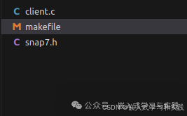 Setting Dynamic Library Path Parameters in Makefile