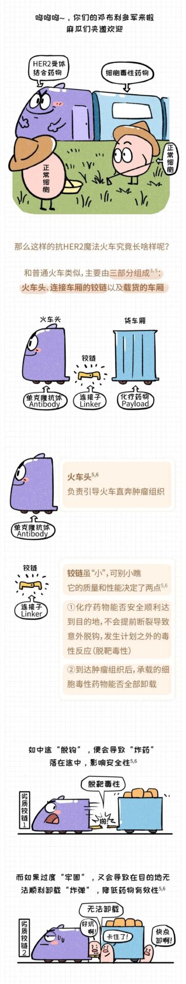 Understanding ADC Drugs: A Visual Guide