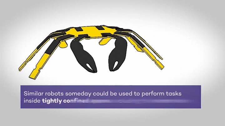 Micro Robots: The Cutting-Edge Technology