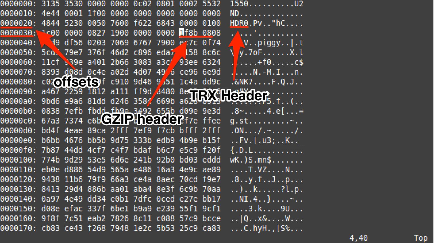 Reversing and Exploiting Embedded Devices: Software Stack Part 1