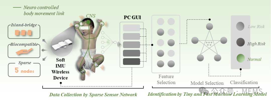 Sparse Sensor Networks for Rapid Screening of Infant Cerebral Palsy