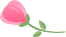 Effects of Peony Flower Stamen Protein on Dough and Gluten Properties