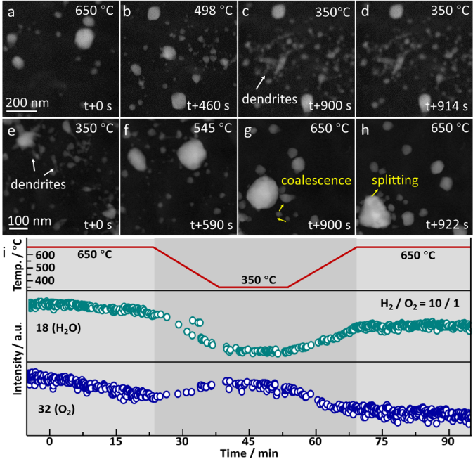 In Situ Electron Microscopy Study of Dynamic Structural Changes in CuZn Bimetallic Nanoparticles