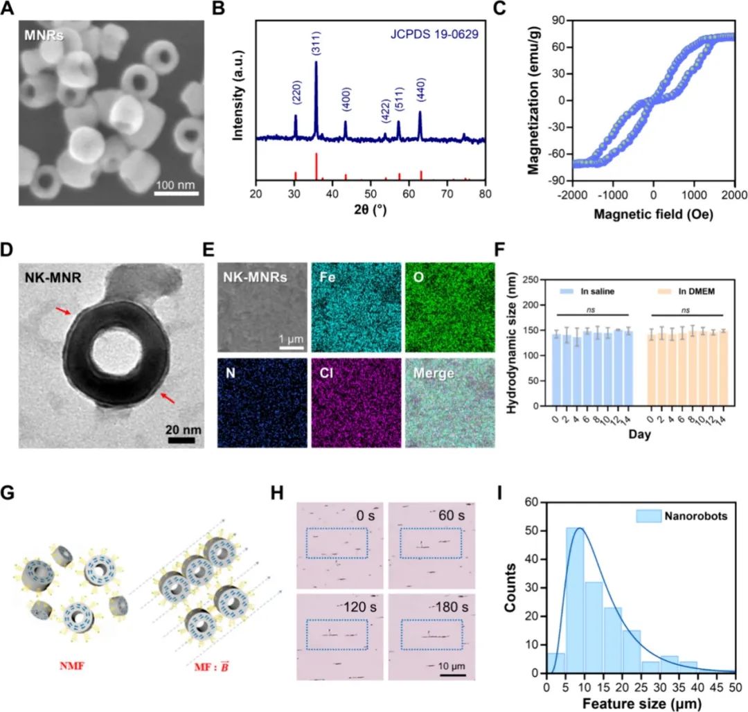 Dual Frequency-Regulated Magnetic Vortex Nanorobots for Thrombolysis