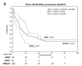 Cladribine Induction Therapy Improves Prognosis in IDH2 Mutant NK-AML Patients