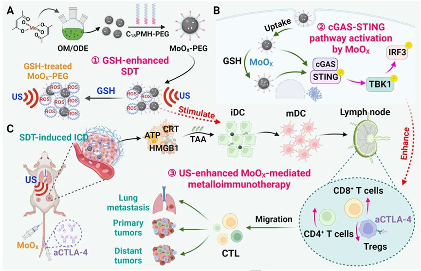 Oxygen-Deficient Molybdenum Oxide Nanosensitizers for Ultrasound-Enhanced Cancer Metalloimmunotherapy
