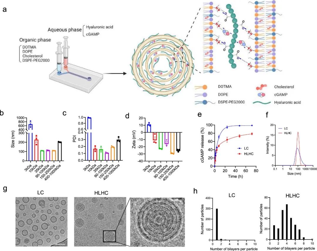 Single-Dose Physically Cross-Linked Hyaluronic Acid and Lipid Hybrid Nanoparticles Activate Antitumor Immune Response
