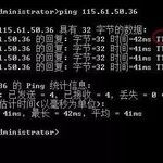Essential Knowledge: 7 Basic Uses of the Ping Command