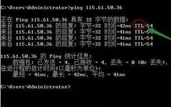 Essential Knowledge: 7 Basic Uses of the Ping Command