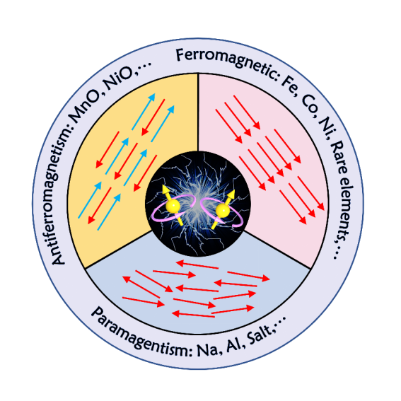 Exploring Electron Spin Polarization for Next-Gen Rechargeable Battery Innovation