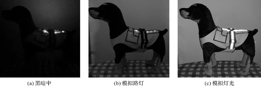 Development of Smart Night Clothes for Dogs Based on LilyPad Arduino