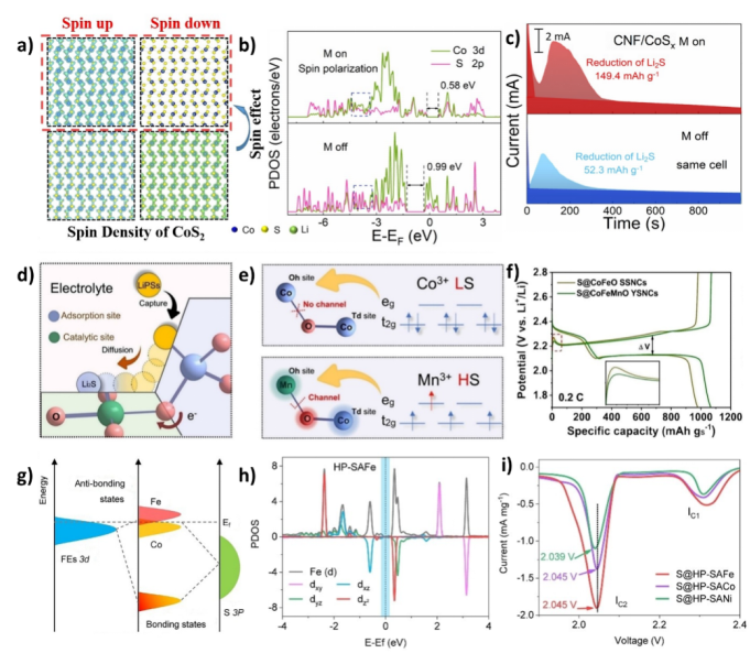 Exploring Electron Spin Polarization for Next-Gen Rechargeable Battery Innovation