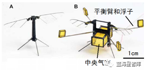 Development Status of Micrometer-Level Microrobots