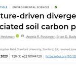 Divergence and Persistence of Mineral-Associated Organic Matter in Soil Driven by Moisture