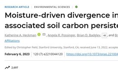 Divergence and Persistence of Mineral-Associated Organic Matter in Soil Driven by Moisture