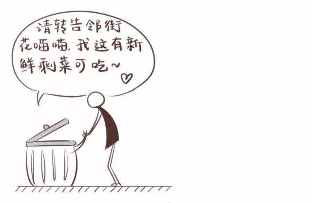 Understanding LoRa Through a Cartoon Explanation