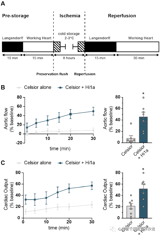 Therapeutic Inhibition of Acid Sensing Ion Channel 1a Recovers Heart Function After Ischemia-Reperfusion Injury