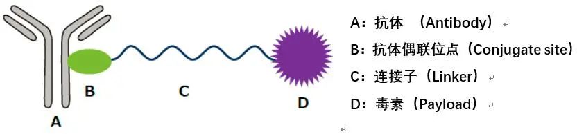 Overview of ADC Drug Development Landscape