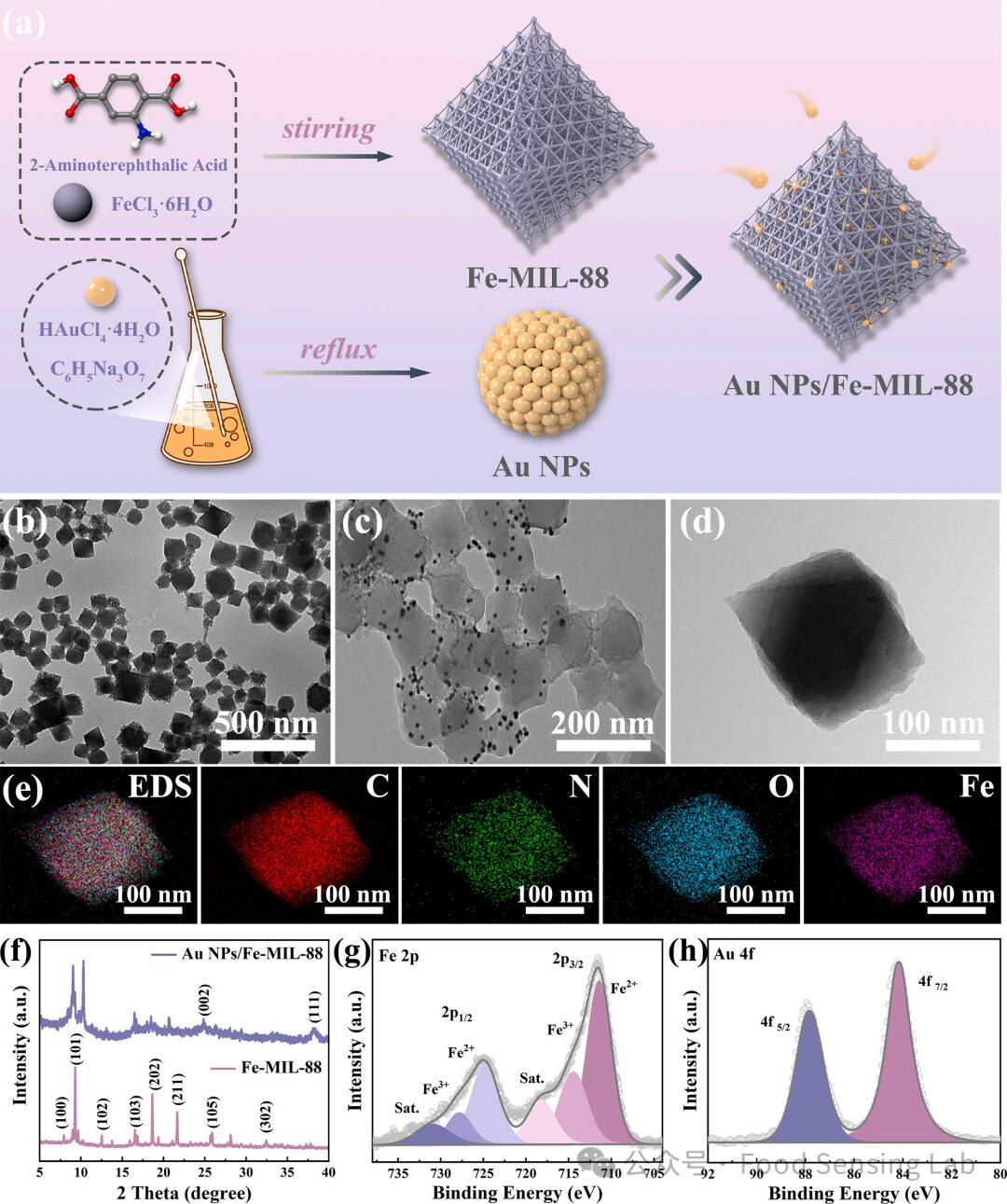 Smartphone-Based Dual-Mode Aptasensor for Ochratoxin A Detection