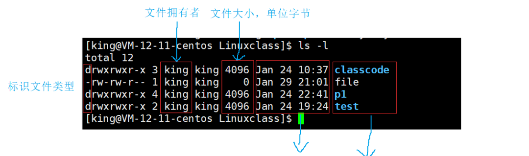 Comprehensive Guide to Common Linux Commands