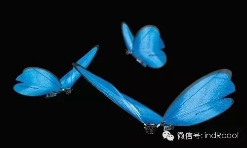 Exploring Beautiful and Adorable Bionic Robots
