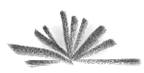 Implementing Simple Screen Sharing with Qt and MQTT