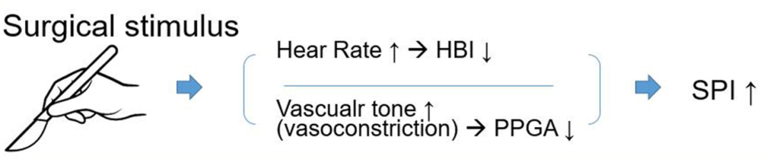 Application of Surgical Pleth Index (SPI) in Pain Monitoring